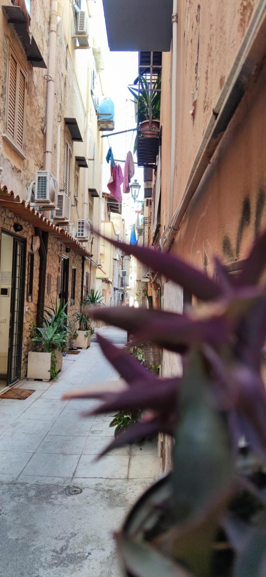 Apartament Mama5 Palermo Zewnętrze zdjęcie